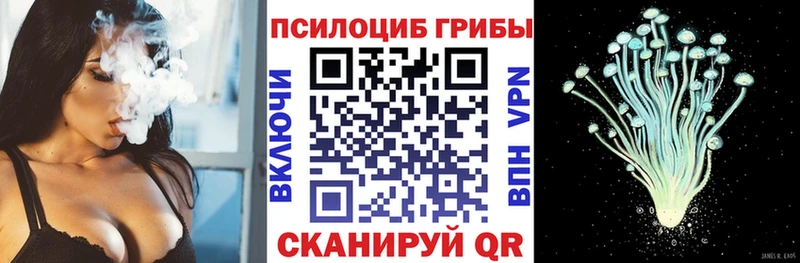hydra вход  Шагонар  Псилоцибиновые грибы GOLDEN TEACHER  дарнет шоп 
