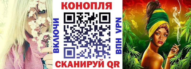 Шишки марихуана гибрид  даркнет сайт  hydra   Шагонар 